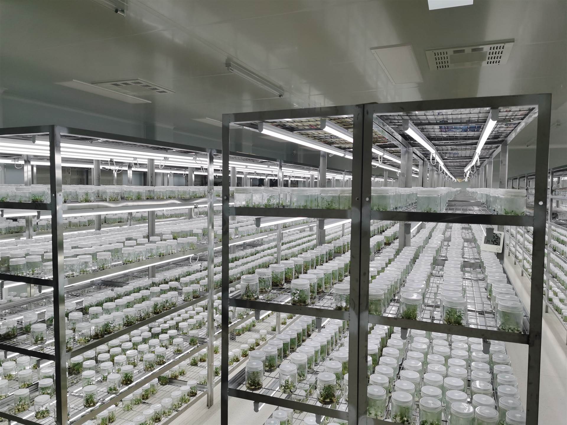 組培室凈化工程該如何設計？設計等級是什么？